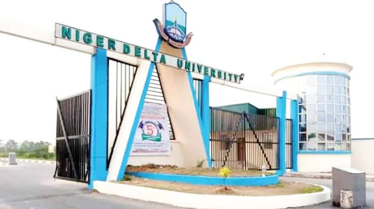  Niger Delta University (NDU):